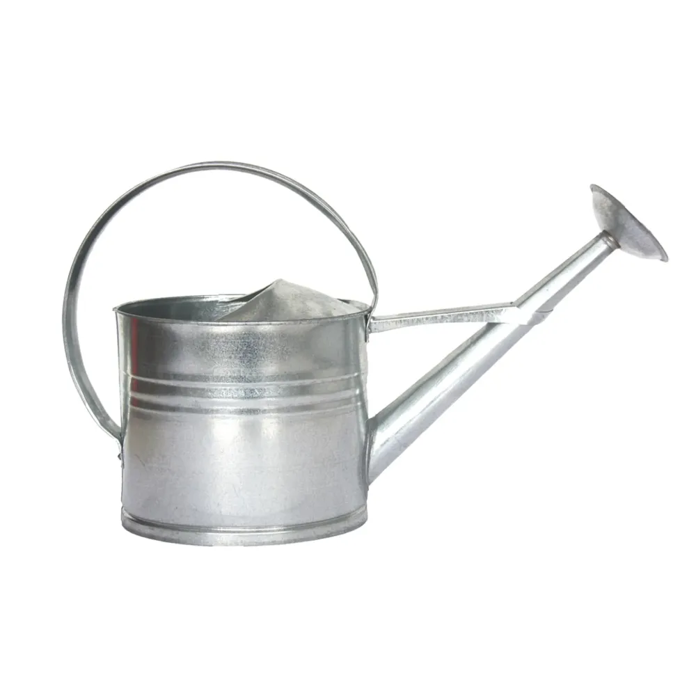 Regadera ZincEsschert RainBird