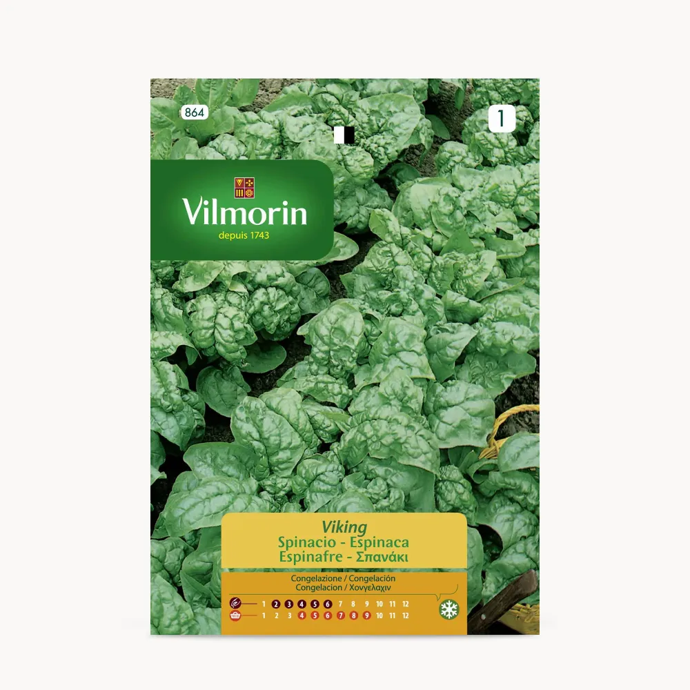 Planta de Interior Semilla espinaca viking