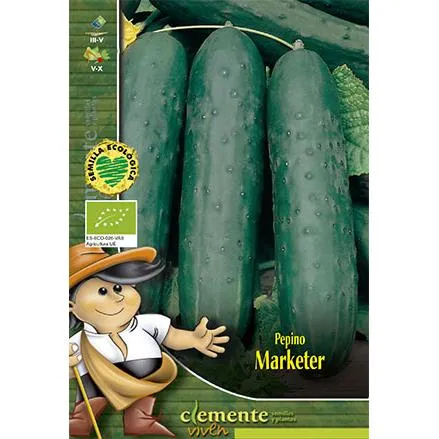 Planta de Interior Semillas de Pepino Marketer Clemente