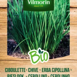 Plántula de Semillas Cebolleta Bio Vilmorin