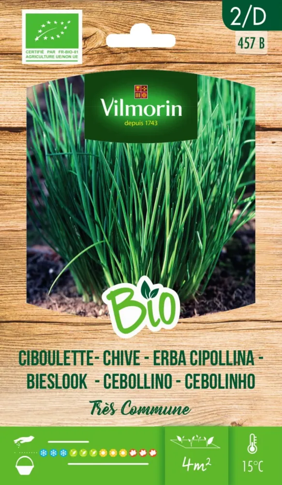 Plántula de Semillas Cebolleta Bio Vilmorin