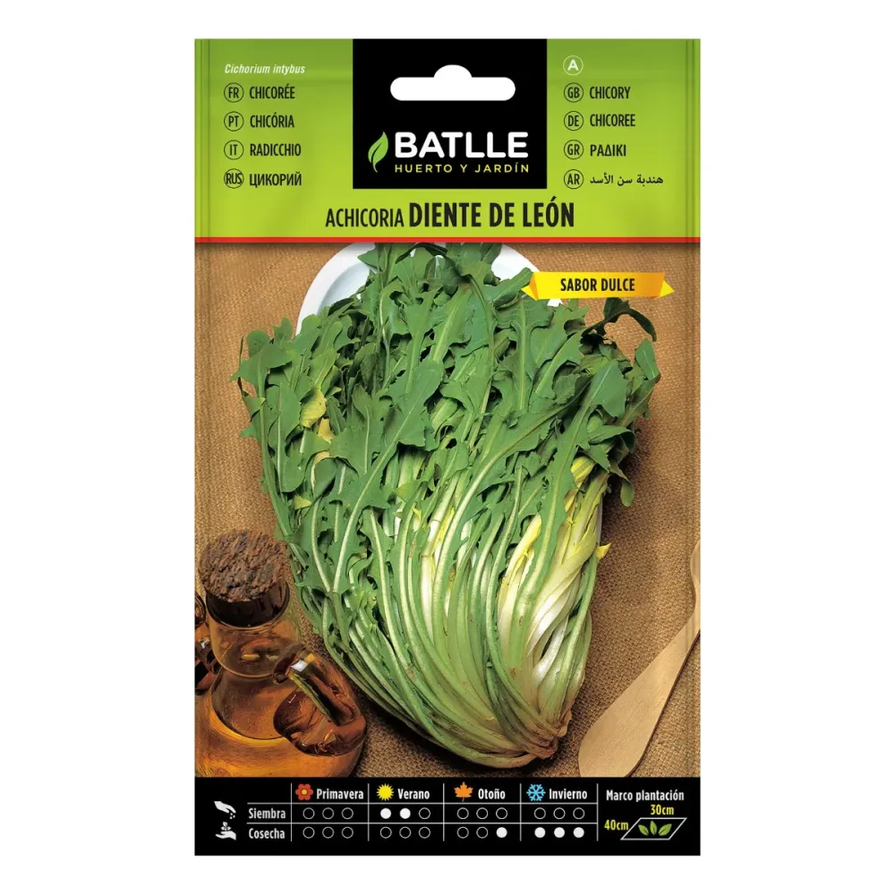Semillas de Achicoria Diente de León Batlle con Instrucciones de Cultivo