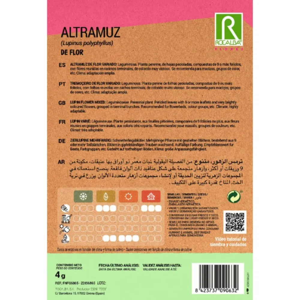 Semillas de Altramuz de flor, variado Listas para Plantar