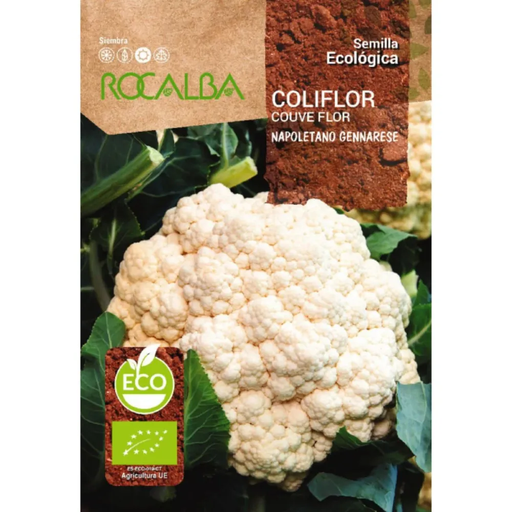 Semillas de coliflor napoletano gennarese ecológicas Rocalba | No Transgénicas |