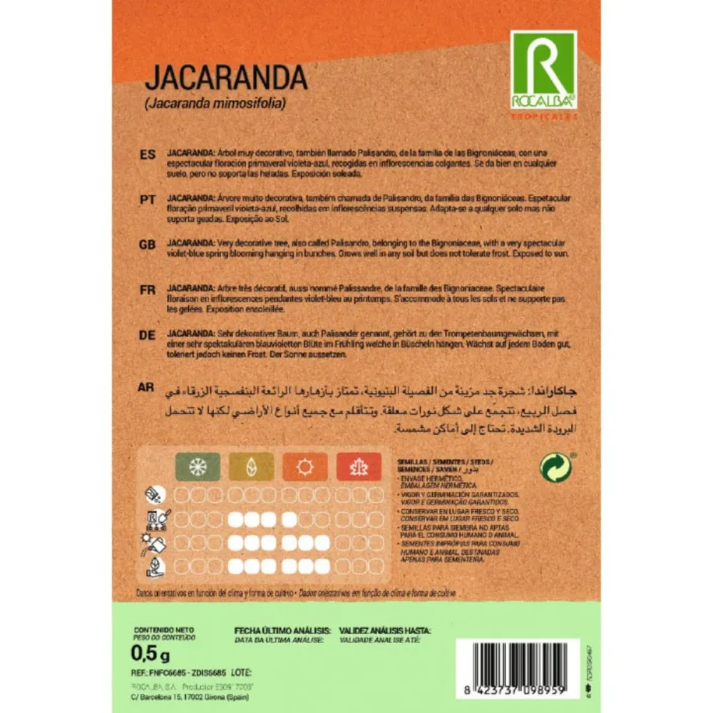 Semillas de Jacaranda Jacaranda mimosifolia - Listo para Plantar