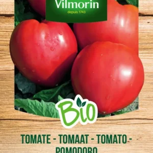 Semillas Tomate Corazón de Buey Bio Vilmorin para Sembrar en Maceta