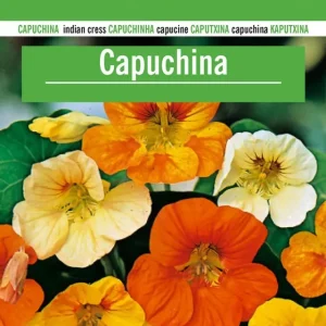 Sobre De Semillas De Capuchina | No Transgénicas |