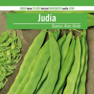 Sobre De Semillas De Judia Buenos Aires Verde en Sobre de 50 Semillas