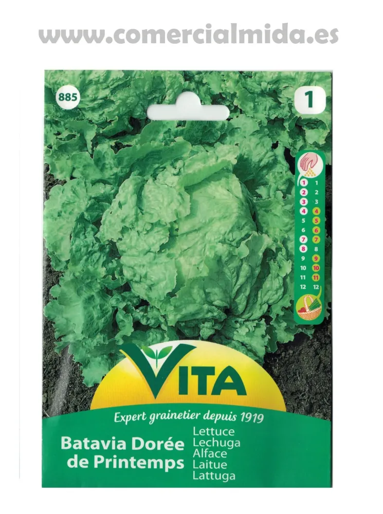 Variedad de Jardín Sobre de semillas 3 g de LECHUGA BATAVIA DORADA DE PRIMAVERA