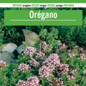 Variedad de Jardín Sobre De Semillas De Oregano