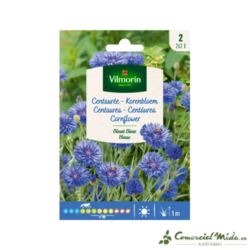 VILMORIN Semillas Centaurea Azul en Sobre de 50 Semillas
