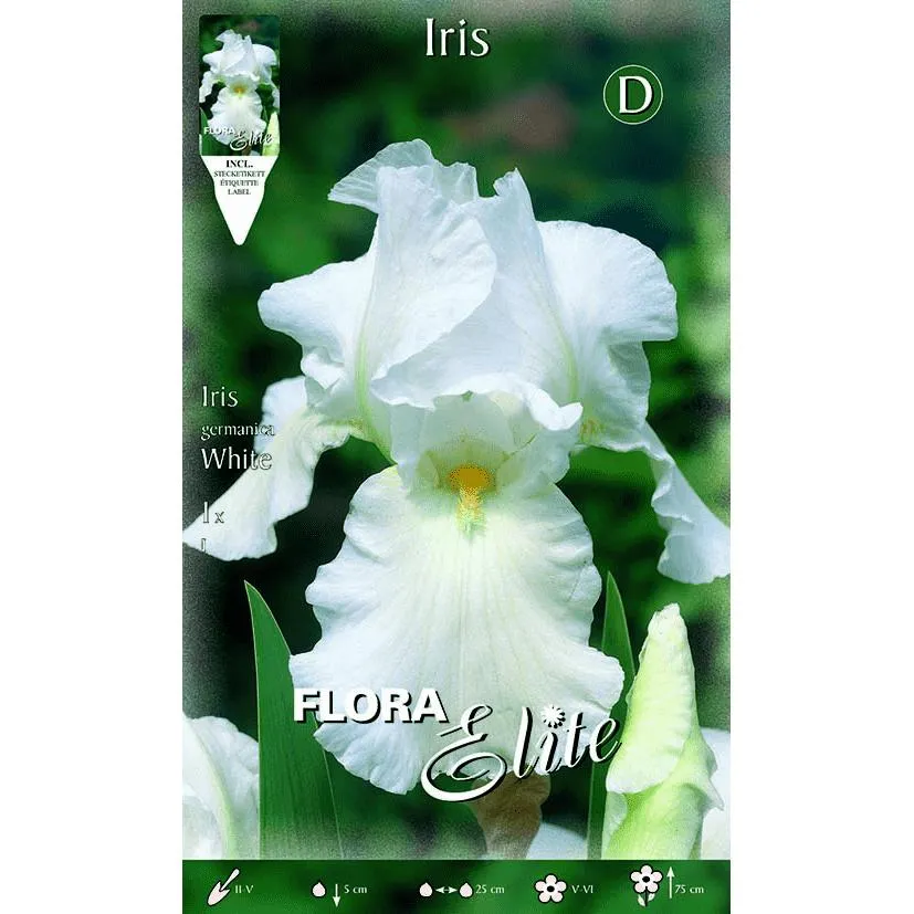 Bulbo Iris Germánica blanco 1 ud de Crecimiento Rápido