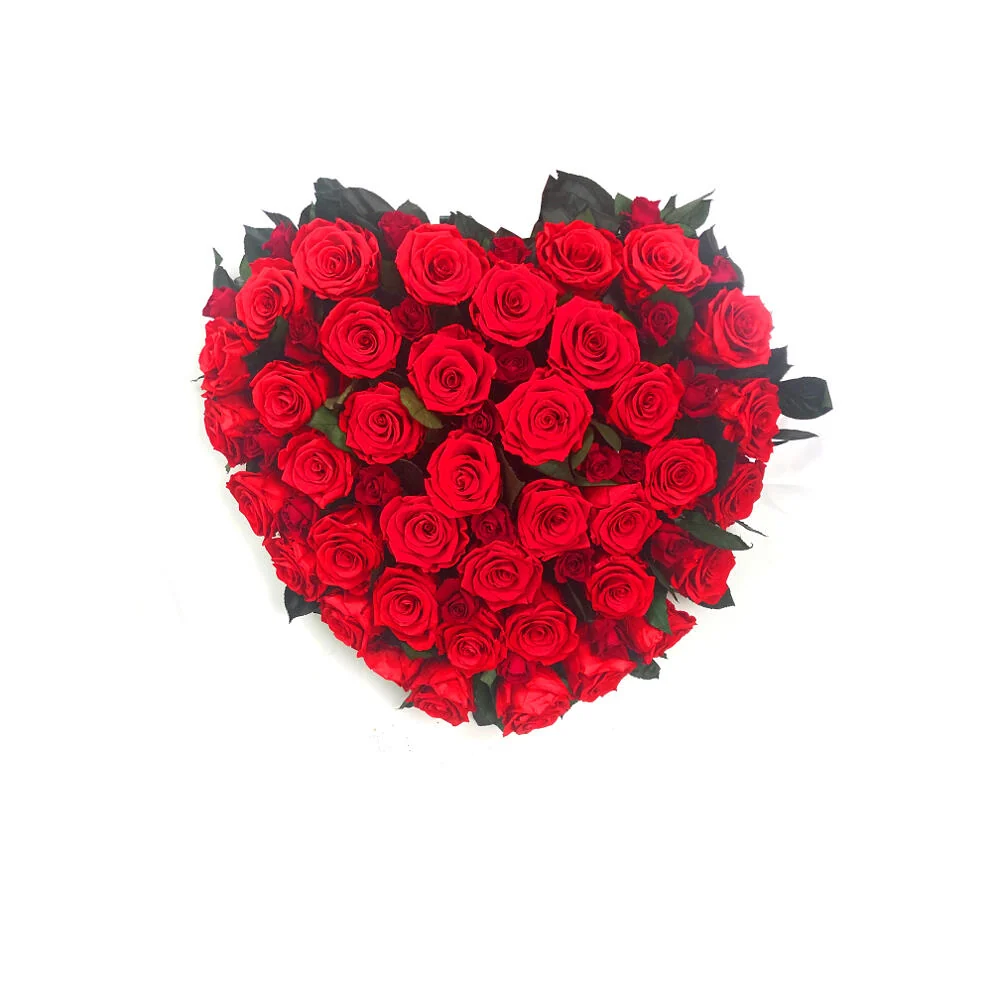 Bulbos de Floración Corazón Preservado 63 Rosas