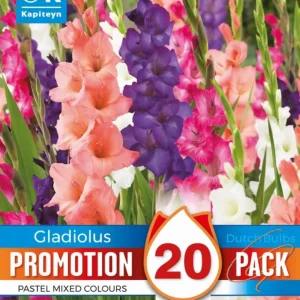 Bulbos Gladiolo Pastel Mix Colores 20uds de Crecimiento Rápido