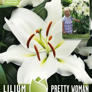 Bulbos Lilium Pretty Woman 3uds | No Transgénicas |