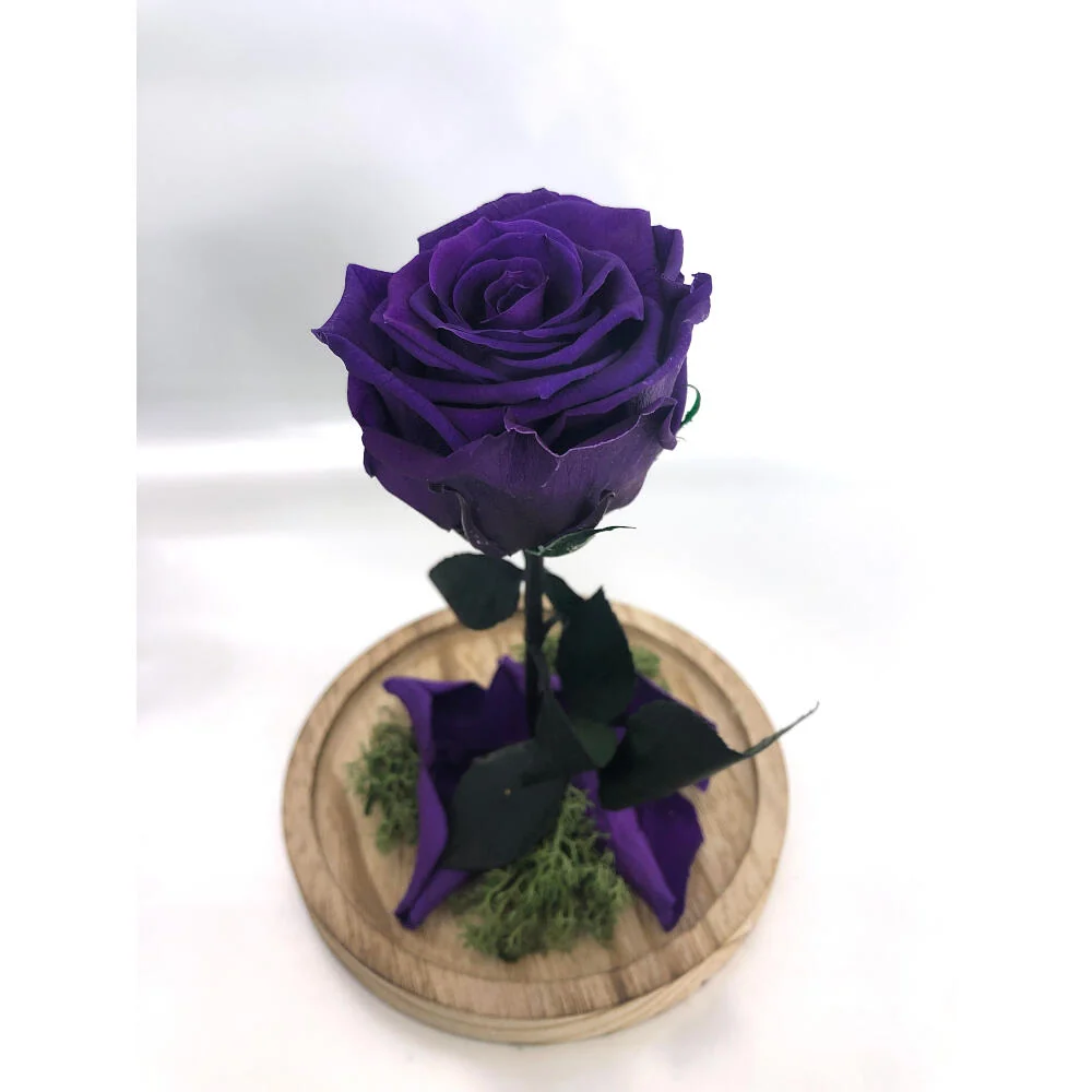 Mundo Eterno Rosa En Cúpula Lila Tenebroso 12x20cm