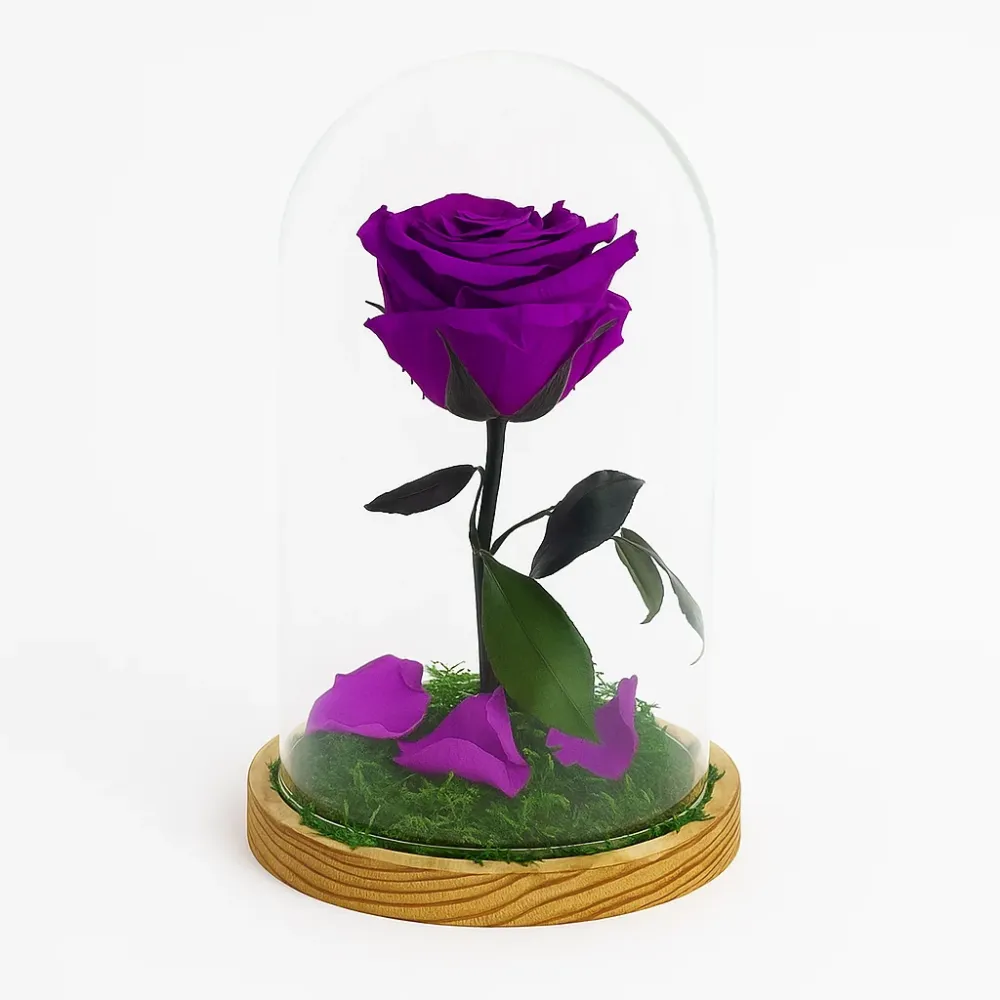 Mundo Eterno Rosa En Cúpula Lila Tenebroso 12x20cm