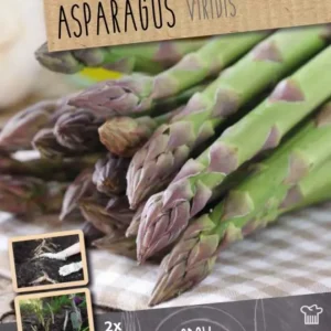 Set de Hierbas Bulbos esparrago viridis 2uds