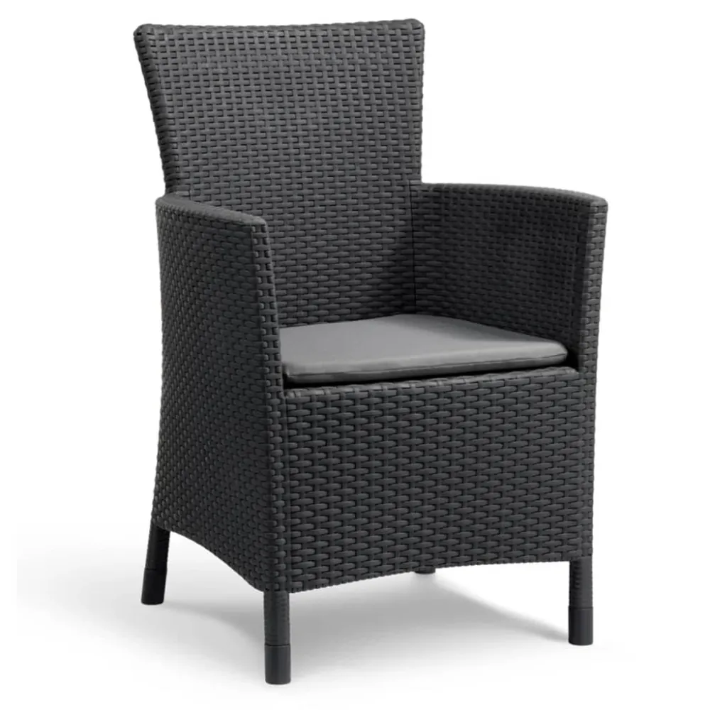 Keter silla de comedor de jardín iowa grafito 215526