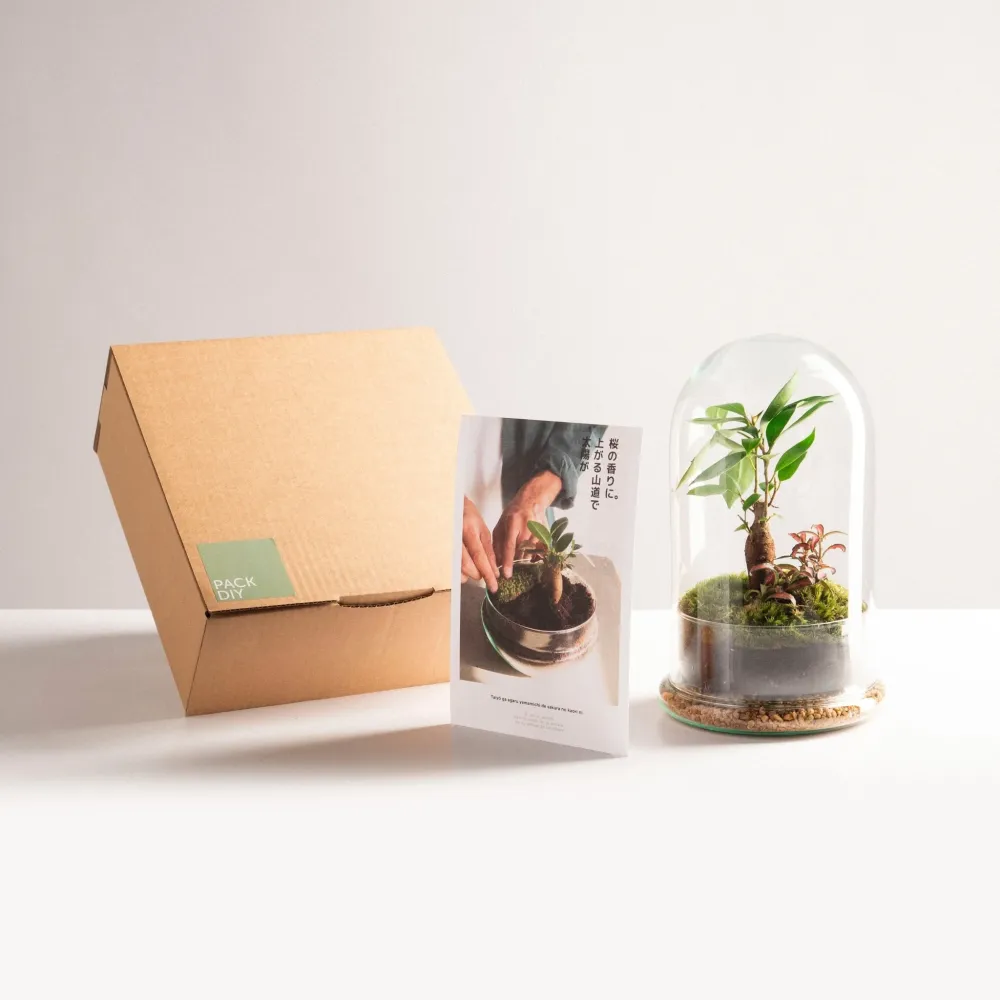 Alimentador para Abejas Pack DIY - Jardín en un bol "Cúpula Jungle"