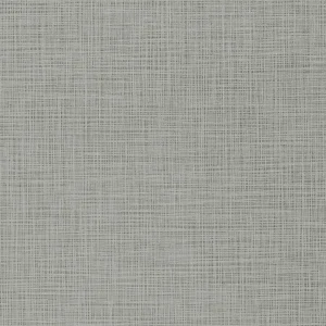Concentrado de Larga Duración Tela Encuadernar Lino Gélido Grey 70x50 175gr. Papers you