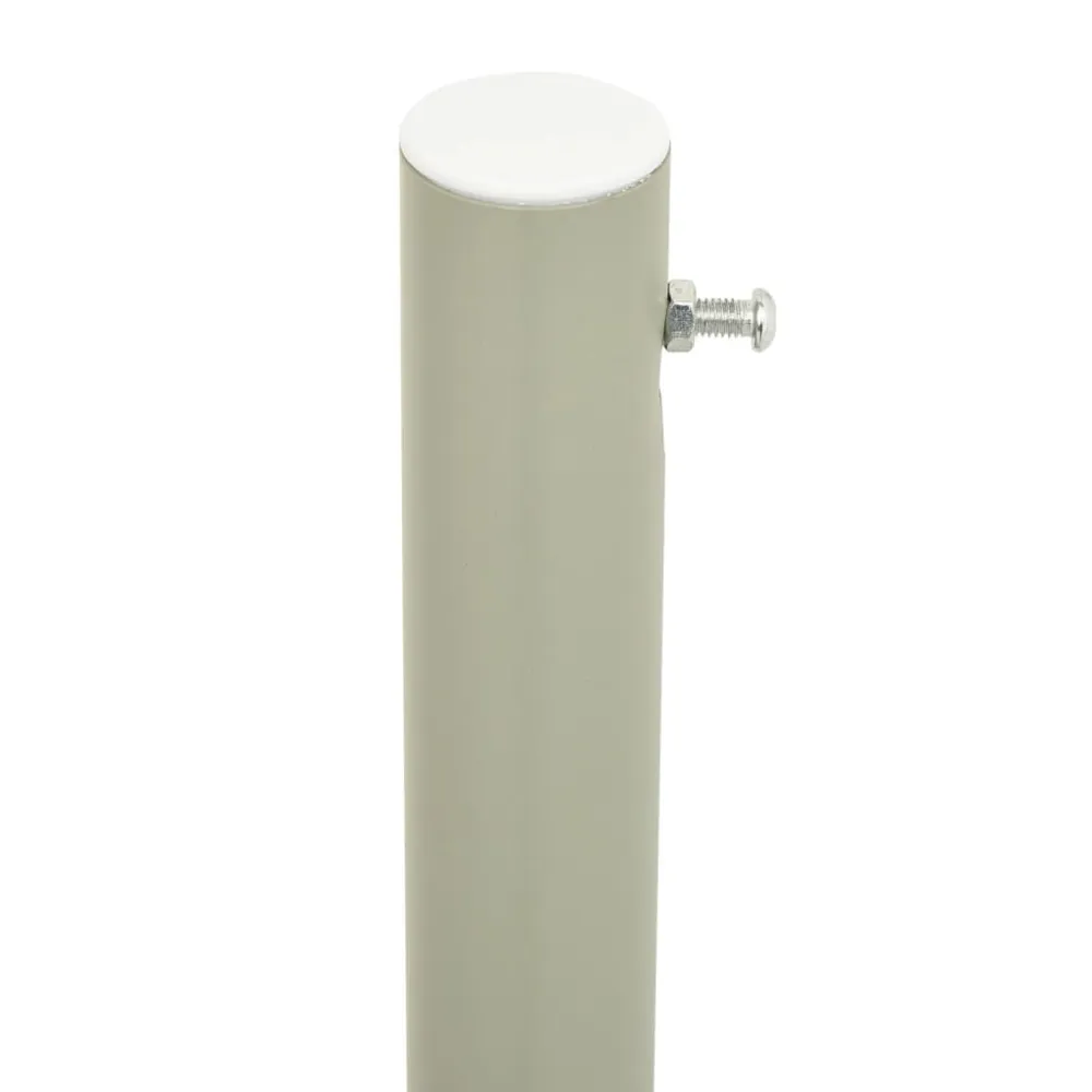 Lanza de Vapor vidaXL toldo lateral retráctil de jardín azul 117x300 cm