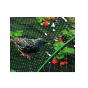 Profesional Certificado Malla Antipájaros Birdnet Verde