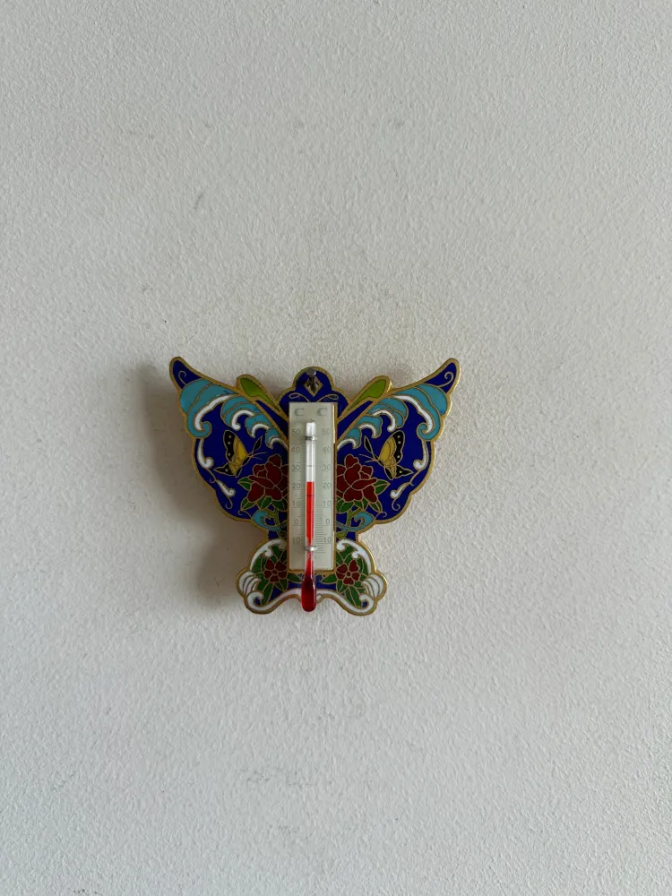 Precisión Profesional Papillon thermomètre en laiton émaillé