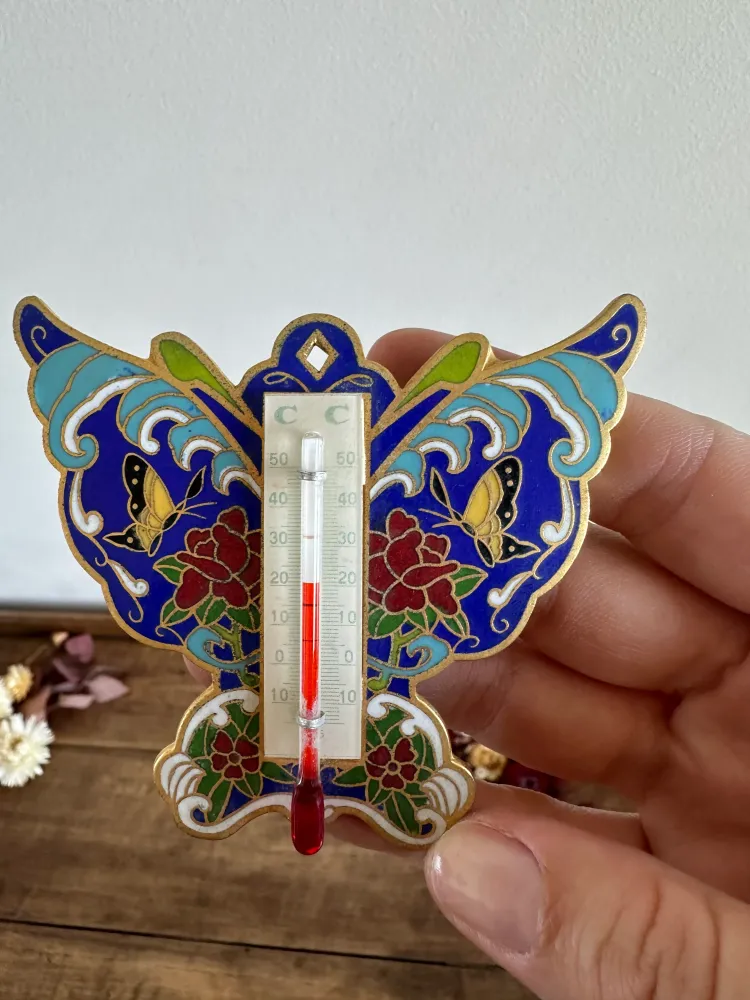 Precisión Profesional Papillon thermomètre en laiton émaillé