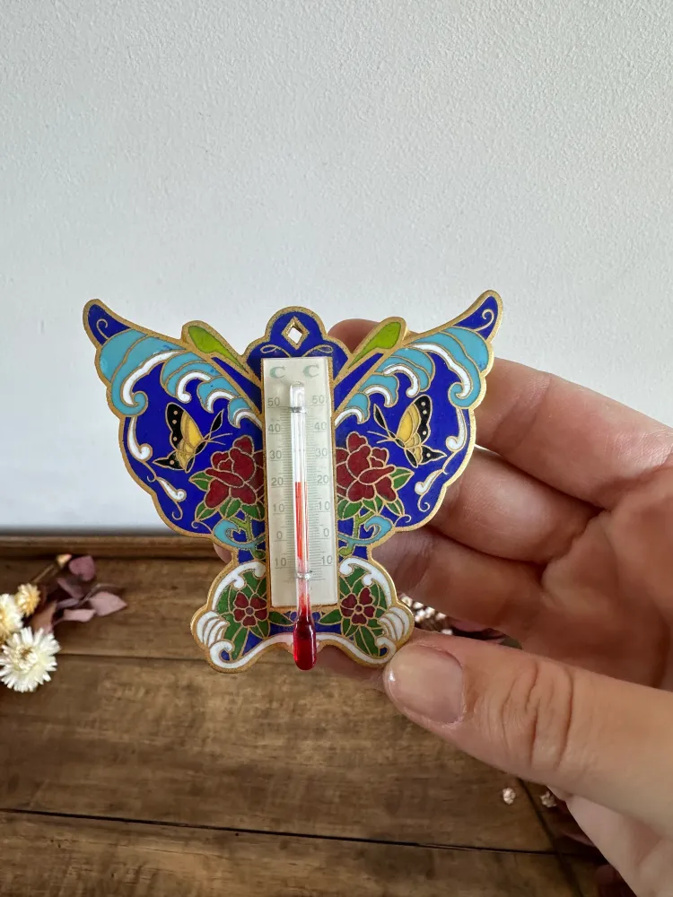 Precisión Profesional Papillon thermomètre en laiton émaillé