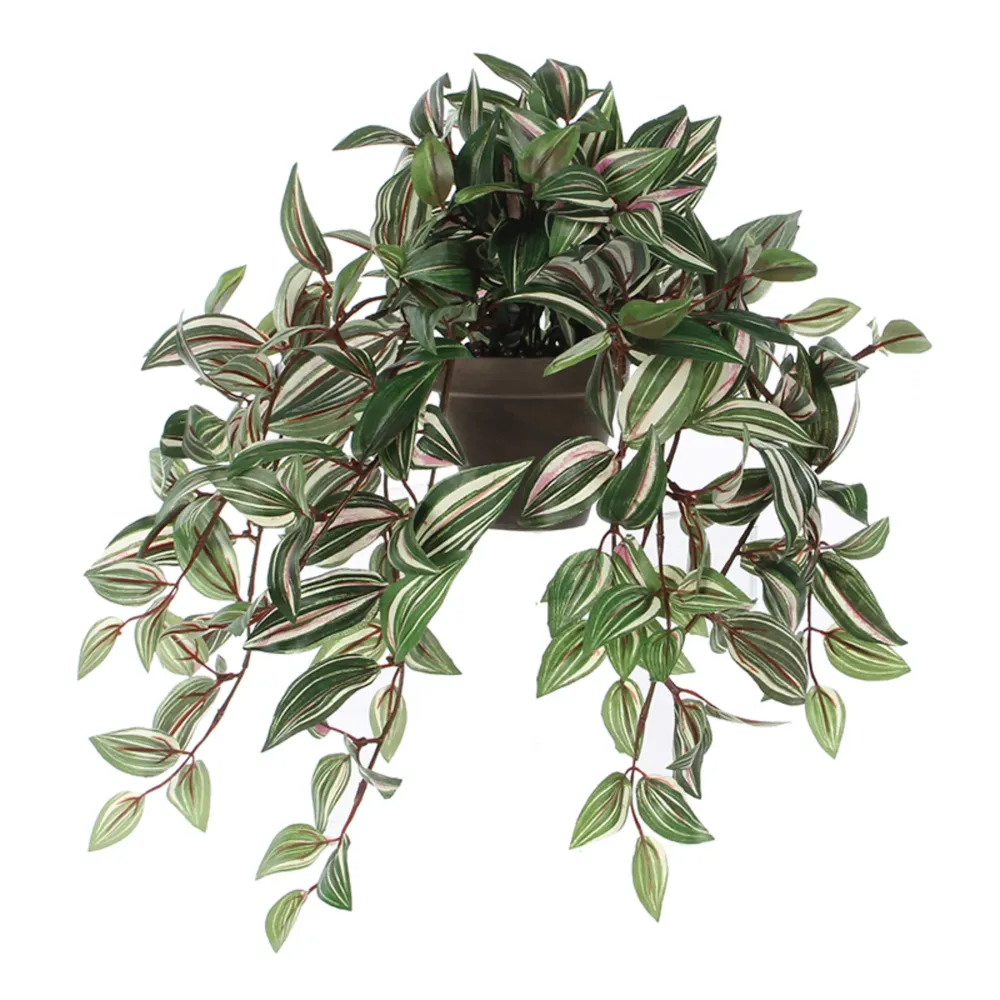 Maceta tradescantia verde con Certificado de Material Reciclado