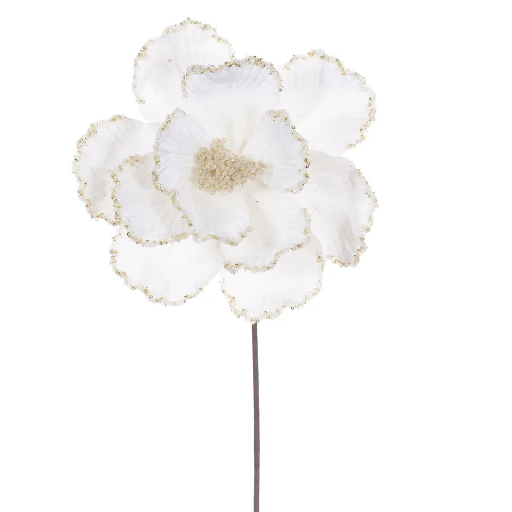 Flores blancas VR / Alabastro flowers VR