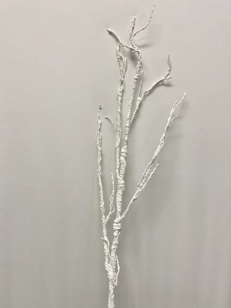Rama blanca / Alabastro branch