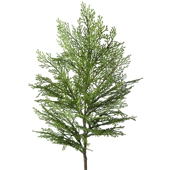 Ramas verdes VR / Menta sprays VR