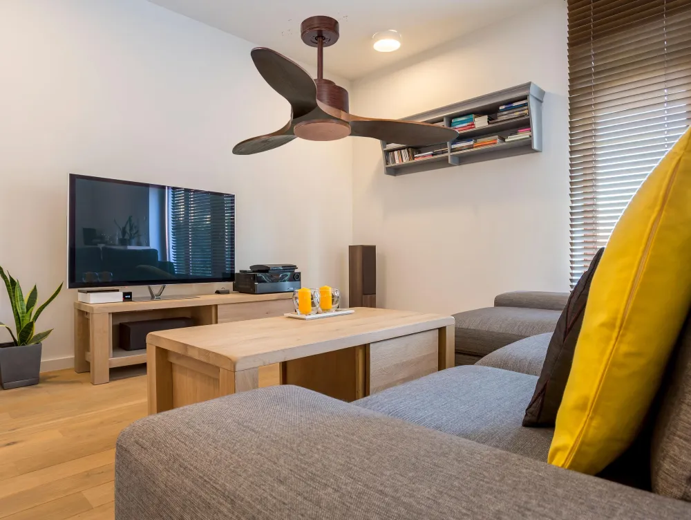 Ventilador de techo ø106 cm con Wi-Fi de dos caras hypersilence para 20 m²